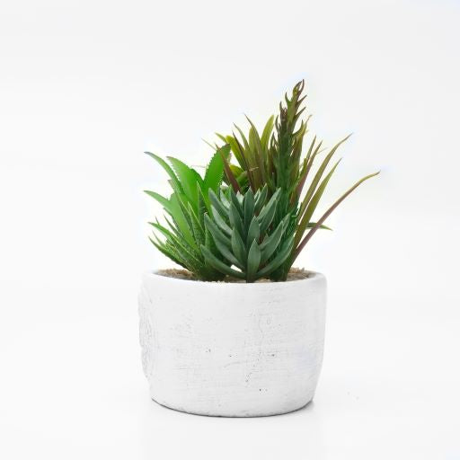 Dameco Künstliche Topfpflanze – 16 × 20 × 11 cm – Beton, Weiss