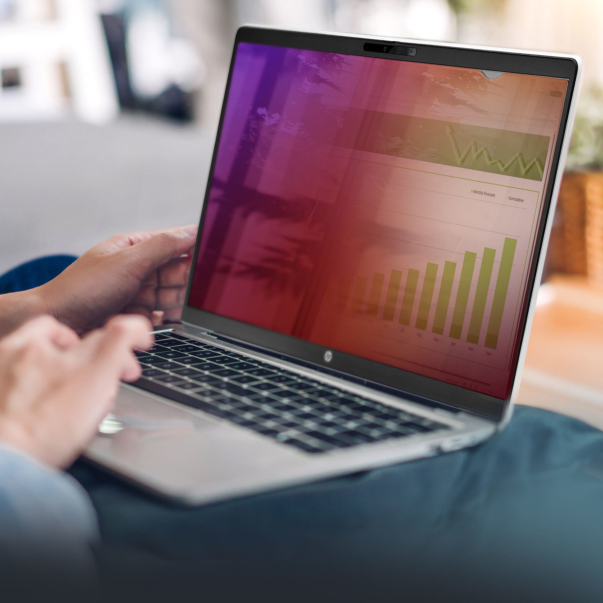 StarTech.com Displayschutz für 15,6" Laptop – Gold