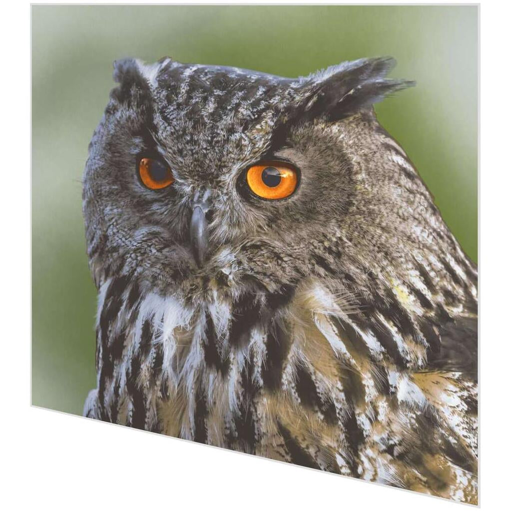 Paper + Design Servietten Eule – 33 × 33 cm, 3-lagig – 20 Stück