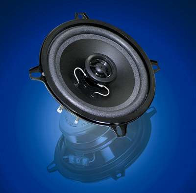 Visaton FX 13 – Einbaulautsprecher – 2-Wege, 5,1", 4 Ω, 30 W, Schwarz