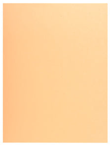 Exacompta Einlagemappe Jura 250 A4 – Einschlagklappe 100 mm, beige, 50 Stk.