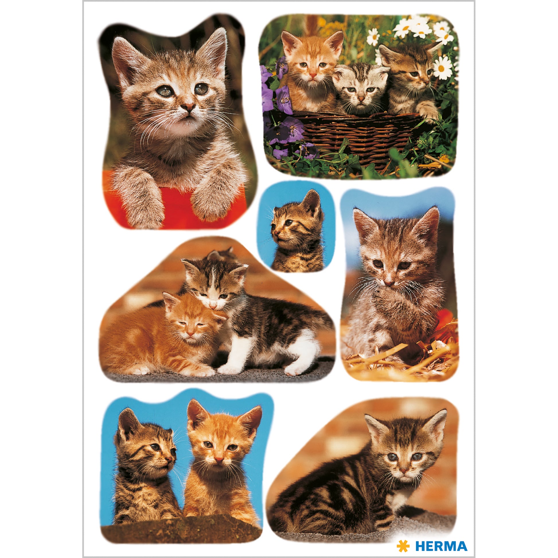 HERMA Schmucketiketten – Katzenfotos – 21 Stück – permanent – mehrfarbig
