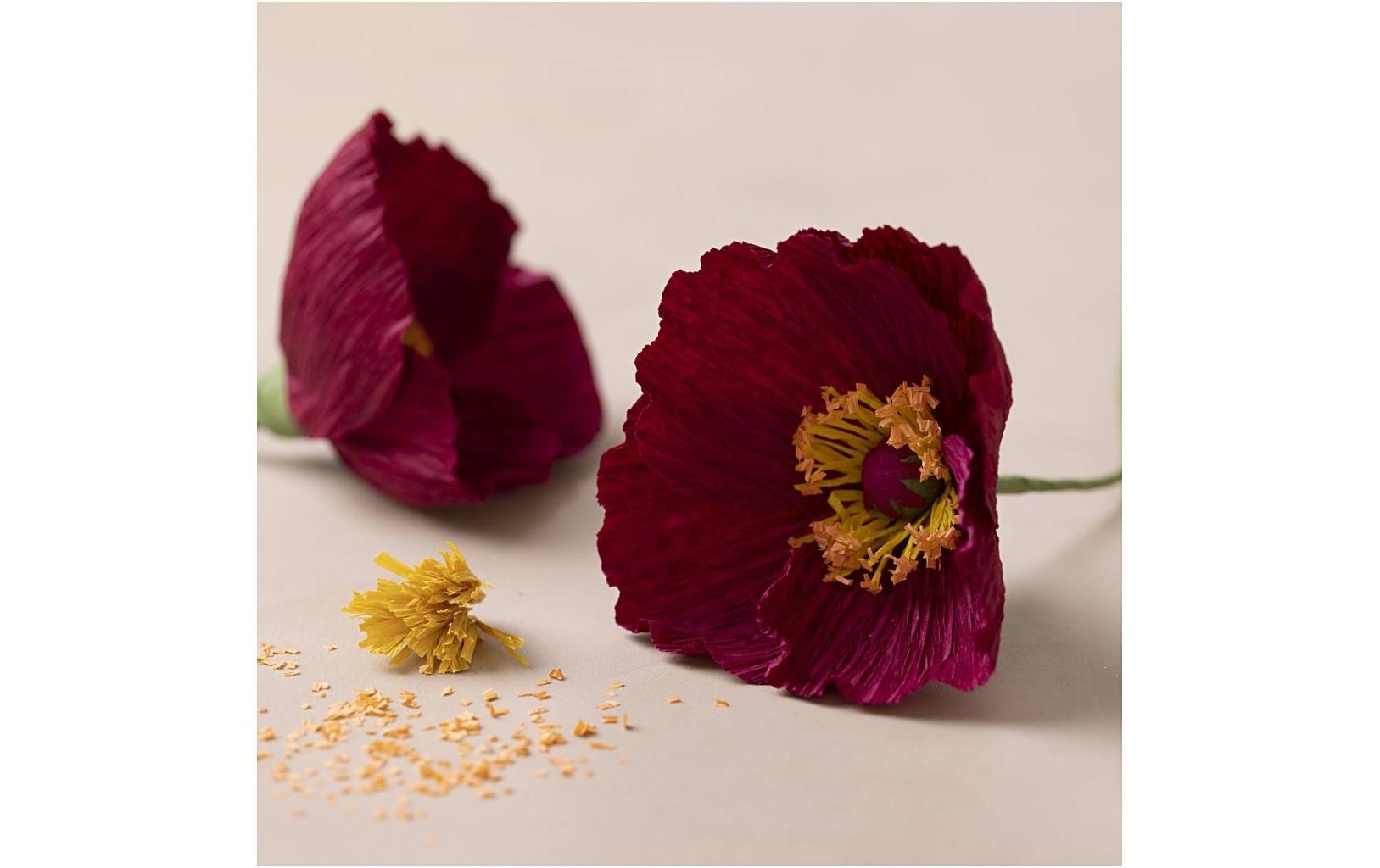 Creativ Company Bastelset Mohn (Krepppapier) – ab 10 Jahren