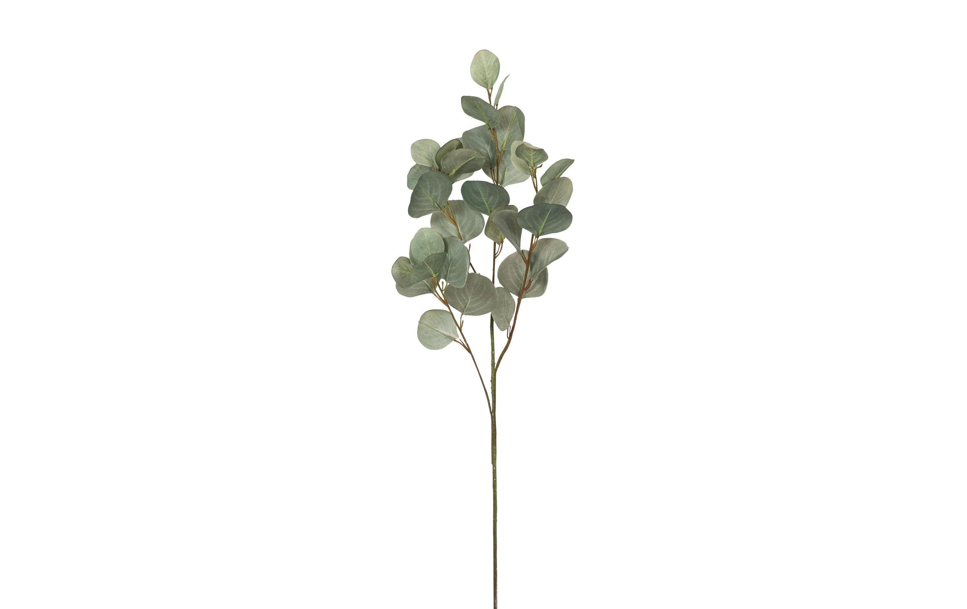 Botanic-Haus Eukalyptuszweig – Ø 21 × 87 cm – Kunststoff, Grün