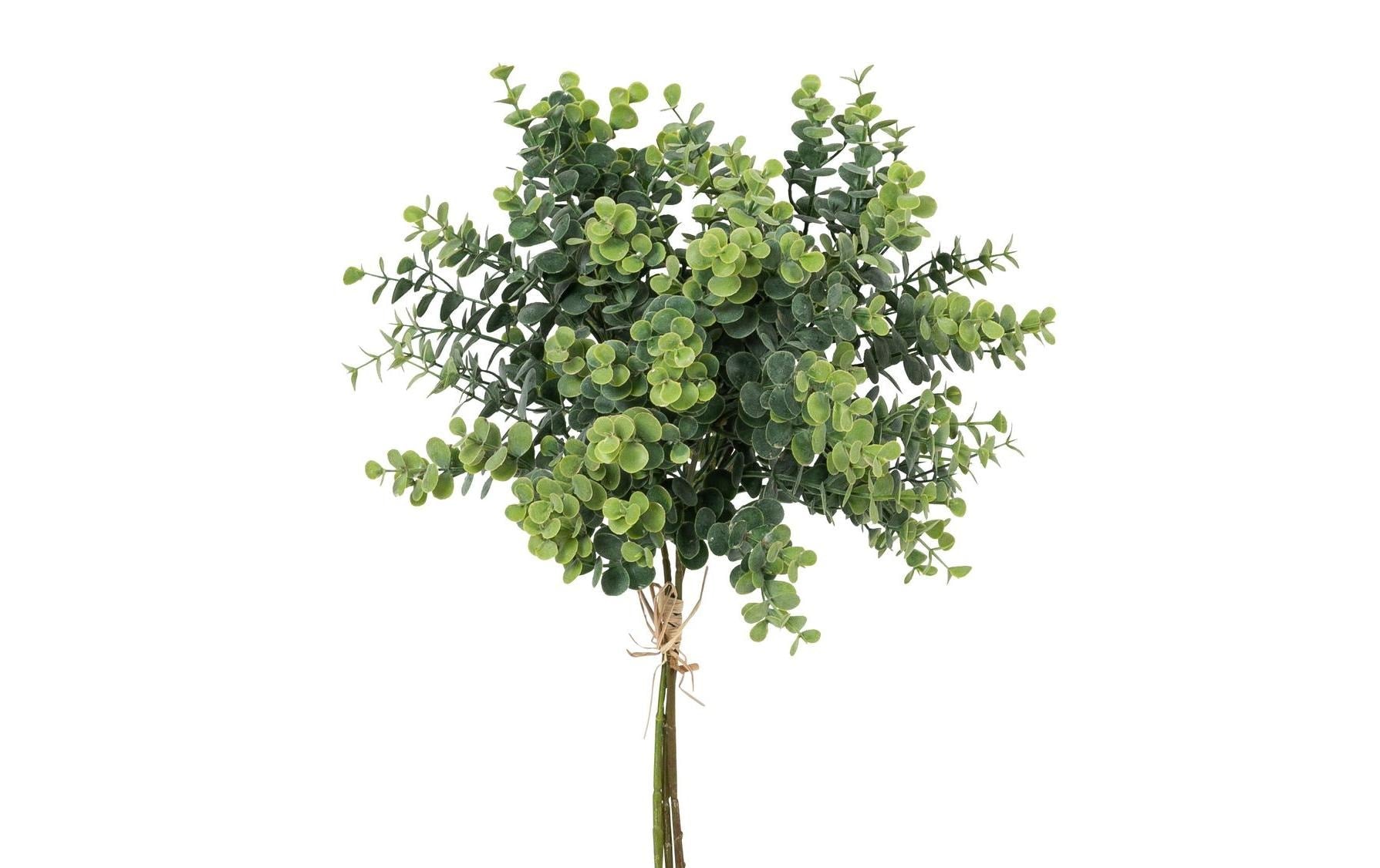 Botanic-Haus Eukalyptusbund – 40 cm, Ø 20 cm, 3-teilig – Kunststoff, grün