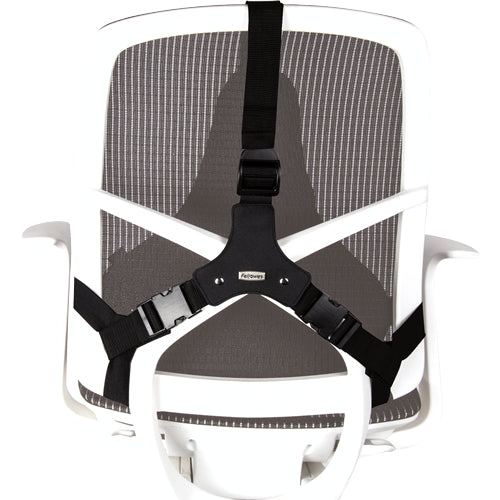 Fellowes Rückenstütze Professional – schwarz