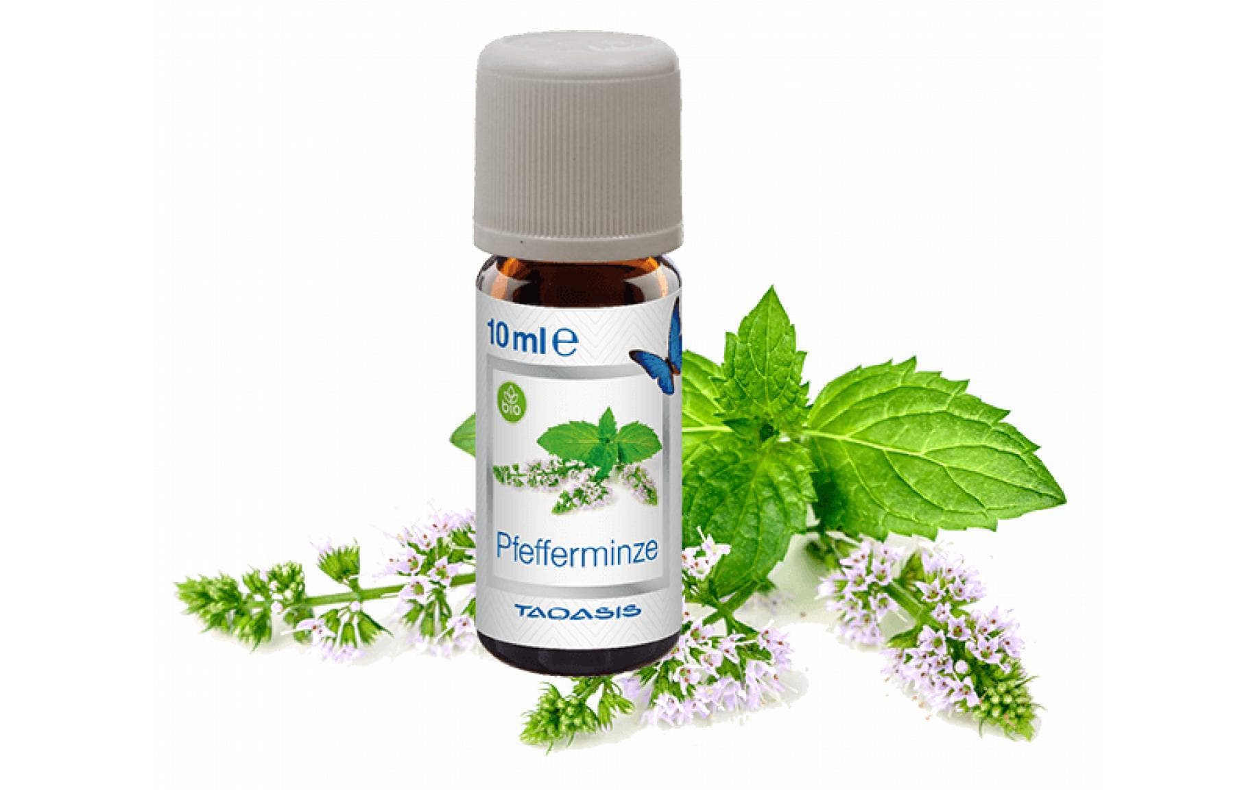 Venta Bio Pfefferminze – Duftöl, 3 × 10 ml