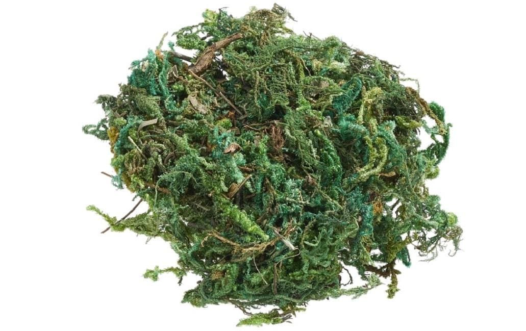 HobbyFun Naturmoos, Hellgrün, 20 g, 1 Stk., Mooszweig, Art.-Nr. 3865355