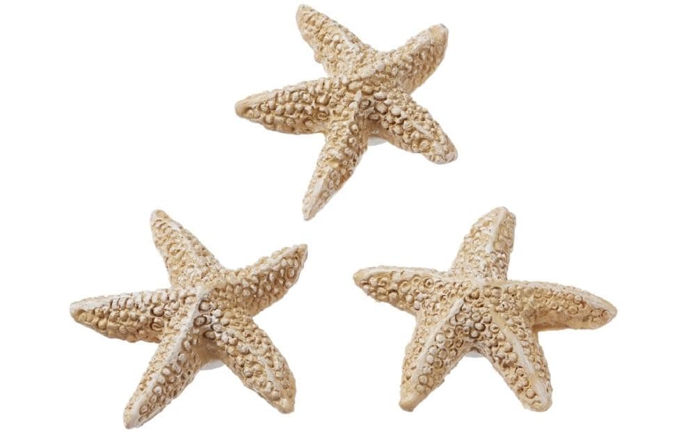 HobbyFun Mini-Tier Seestern, Polyresin, 2 cm, Set à 4