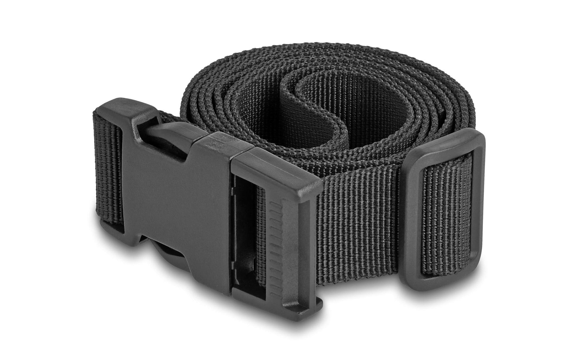 DeLOCK Gepäckgurt – verstellbar, mit Sperre – 150 cm × 2,5 cm – schwarz, Polypropylen – 2 Stk.