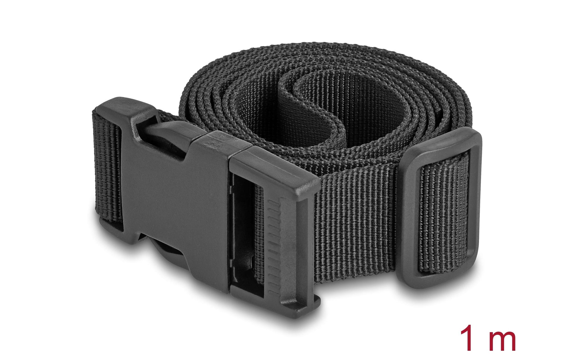 DeLOCK Gepäckgurt – verstellbar, mit Sperre – 150 cm × 2,5 cm – schwarz, Polypropylen – 2 Stk.