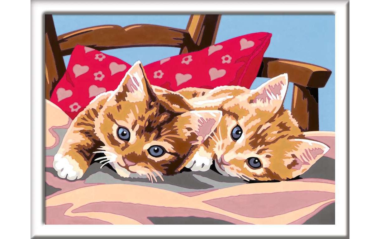 Ravensburger CreArt – Malen-nach-Zahlen-Set – Zwei Kuschelkatzen – 15 Farben (Acrylfarbe) – ab 9 Jahren