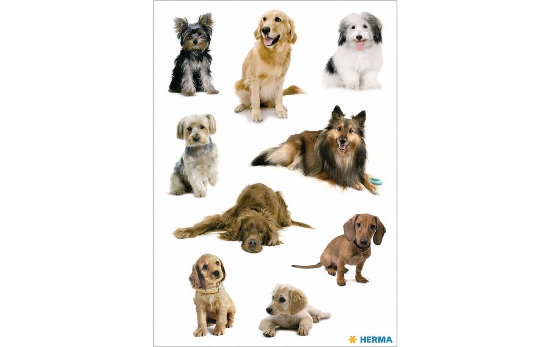 HERMA Schmucketiketten – Hundefotos – 27 Stück – permanent – mehrfarbig