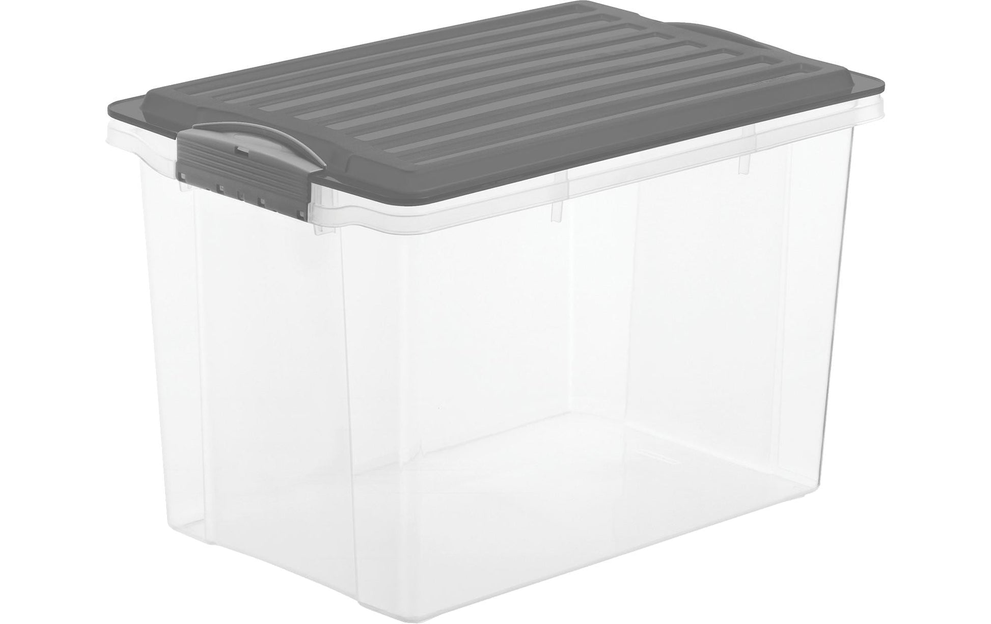 Rotho Kompakte Aufbewahrungsbox 19 l (mit Deckel) – Polypropylen – Anthrazit/Transparent – 275 × 270 × 395 mm