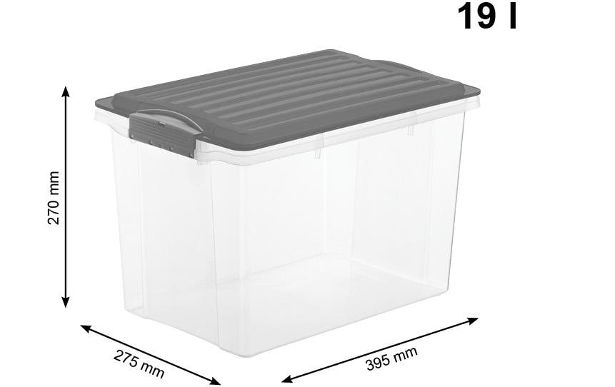 Rotho Kompakte Aufbewahrungsbox 19 l (mit Deckel) – Polypropylen – Anthrazit/Transparent – 275 × 270 × 395 mm