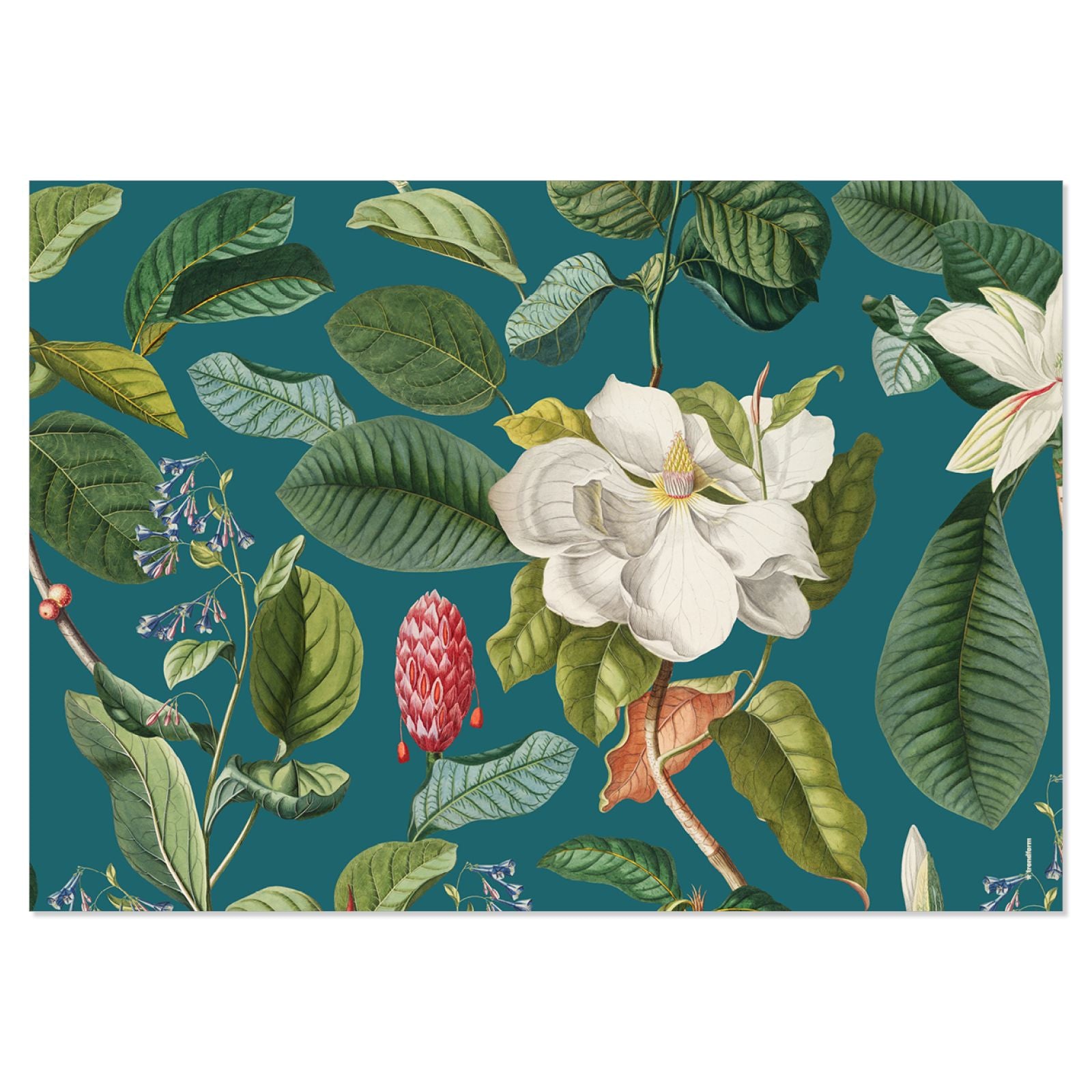 Trendform Tischset Magnolia, Papier, Rechteckig – 42 × 29,7 cm, Mehrfarbig – FSC – 48 Stk.