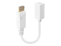 Lindy DisplayPort (Stecker) auf Mini DisplayPort (Buchse) Adapter, 15 cm