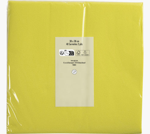 PRONAPPE Servietten – eukalyptusgrün – 38 × 38 cm, 2-lagig – 40 Stück