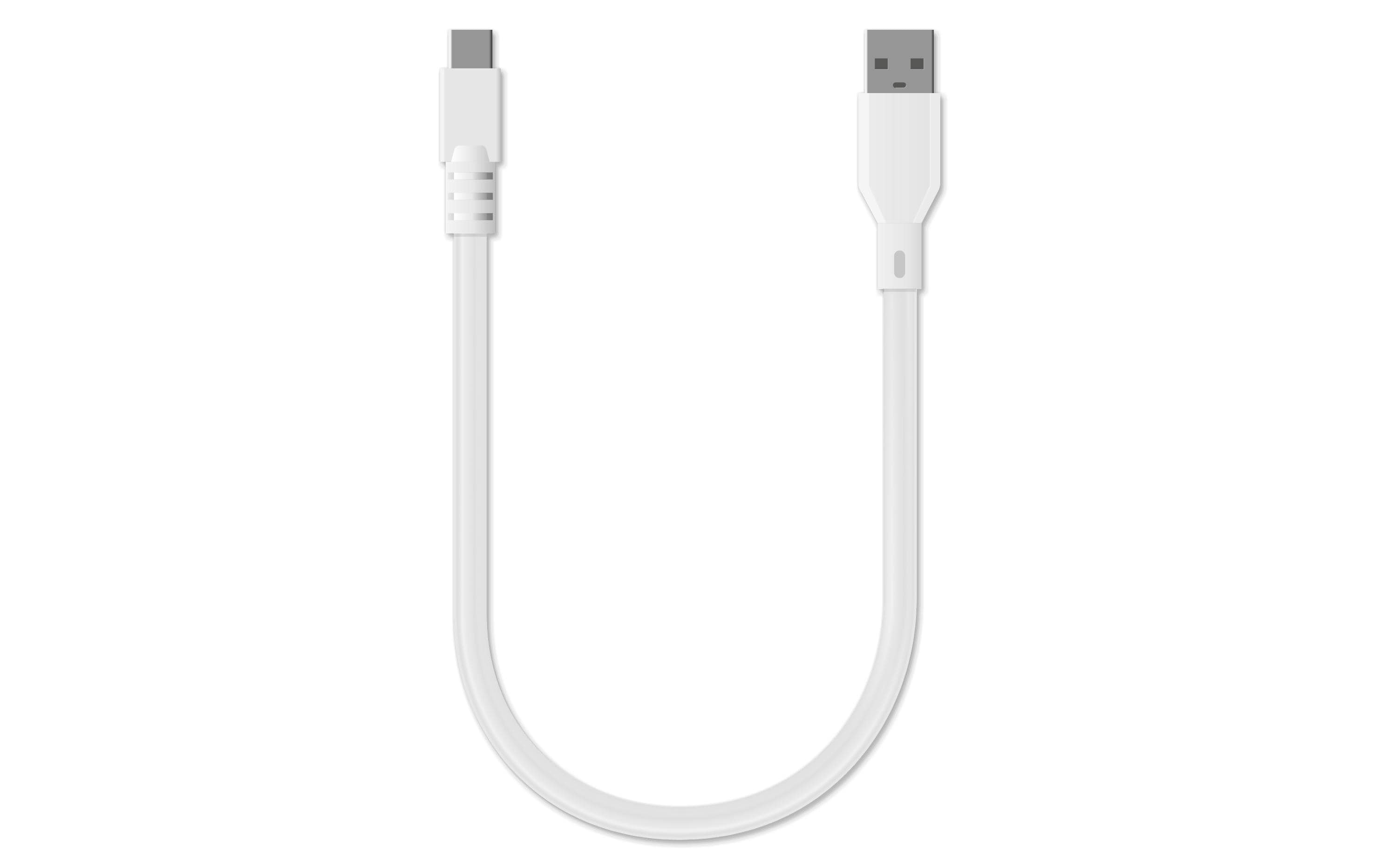 Oxon USB-A auf USB-C Kabel – USB 2.0 (480 Mbit/s) – 0,3 m – Schwanenhals – Weiss – für Oxocard