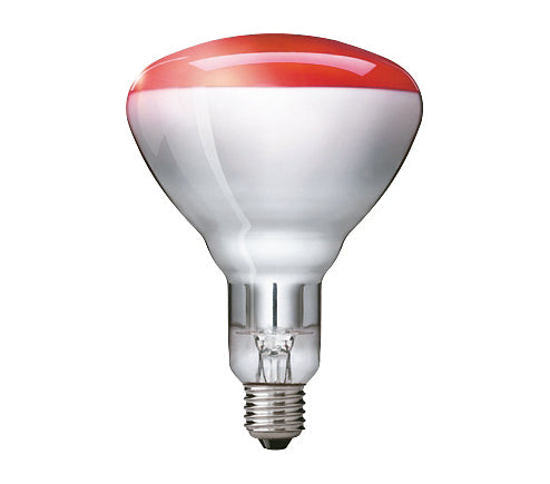 Philips Infrarotlampe E27 BR125 – Rot, 100 lm, 250 W – 1 Stk.
