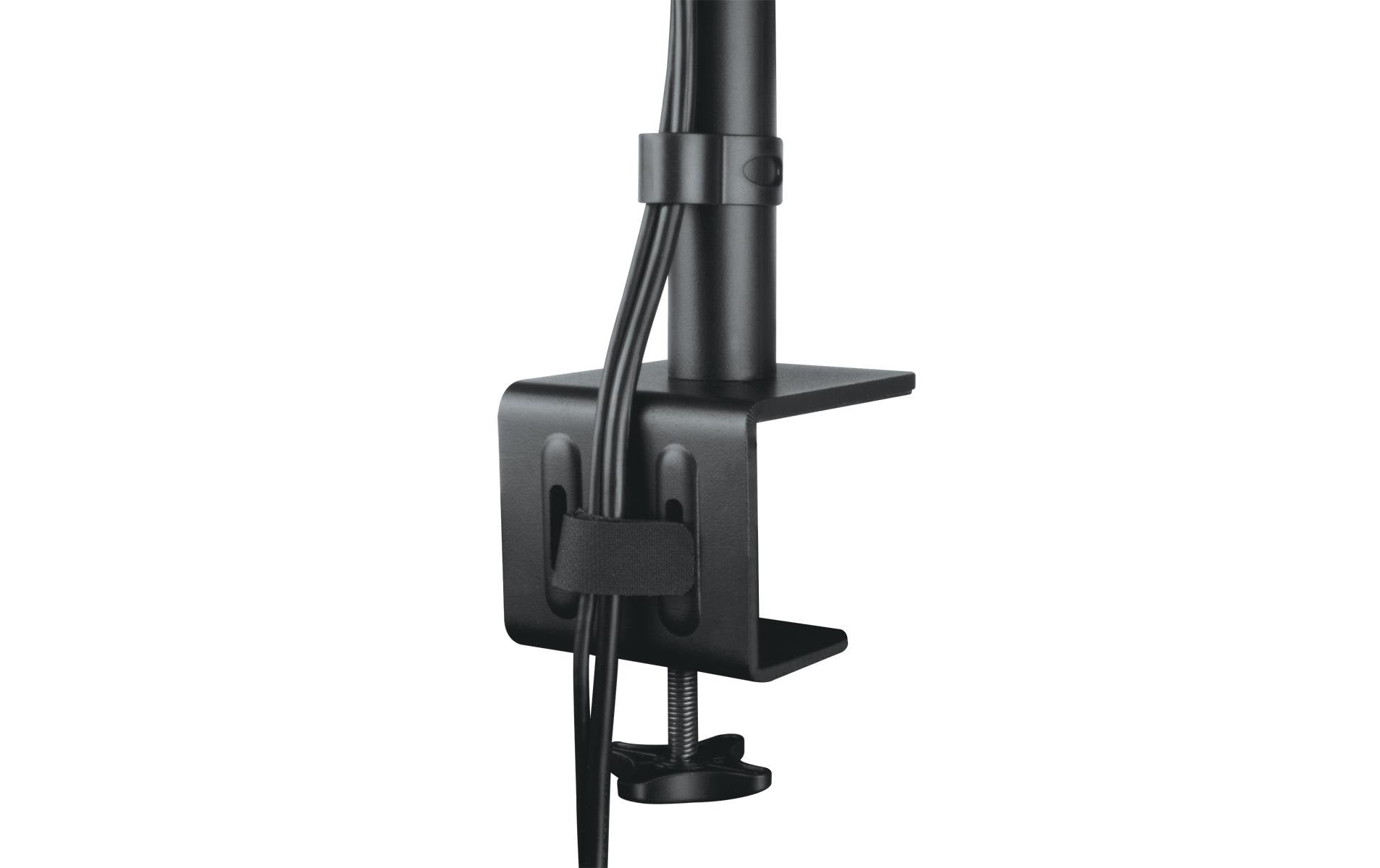 ARCTIC X1 – Monitorarm Tischhalterung – 1 Monitor – 40–43" – VESA 75×75/100×100 mm – bis 10 kg