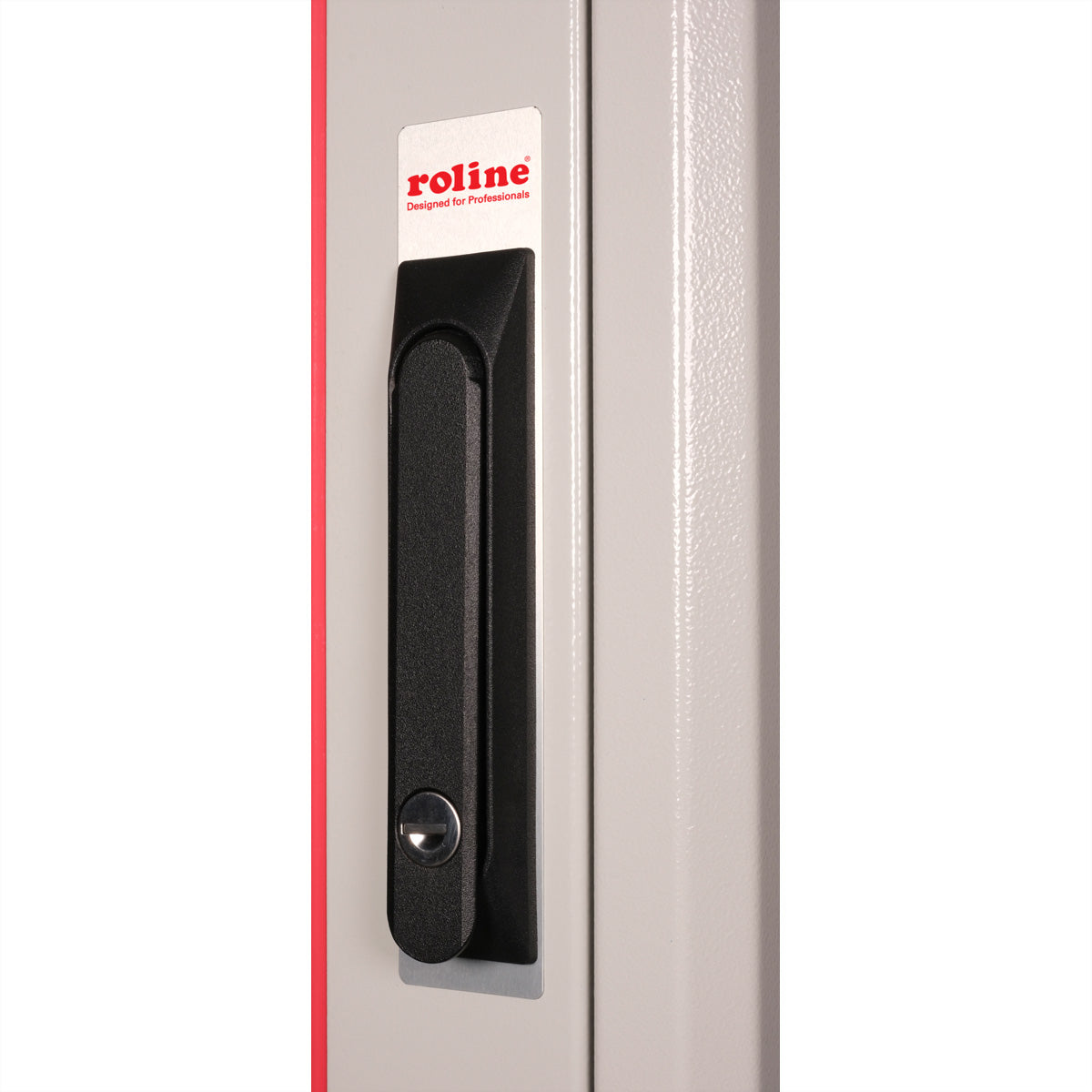 ROLINE Pro – 19" Netzwerkschrank 42U, IP20, abschliessbar, 600 × 800 × 2053 mm, lichtgrau, Stahl