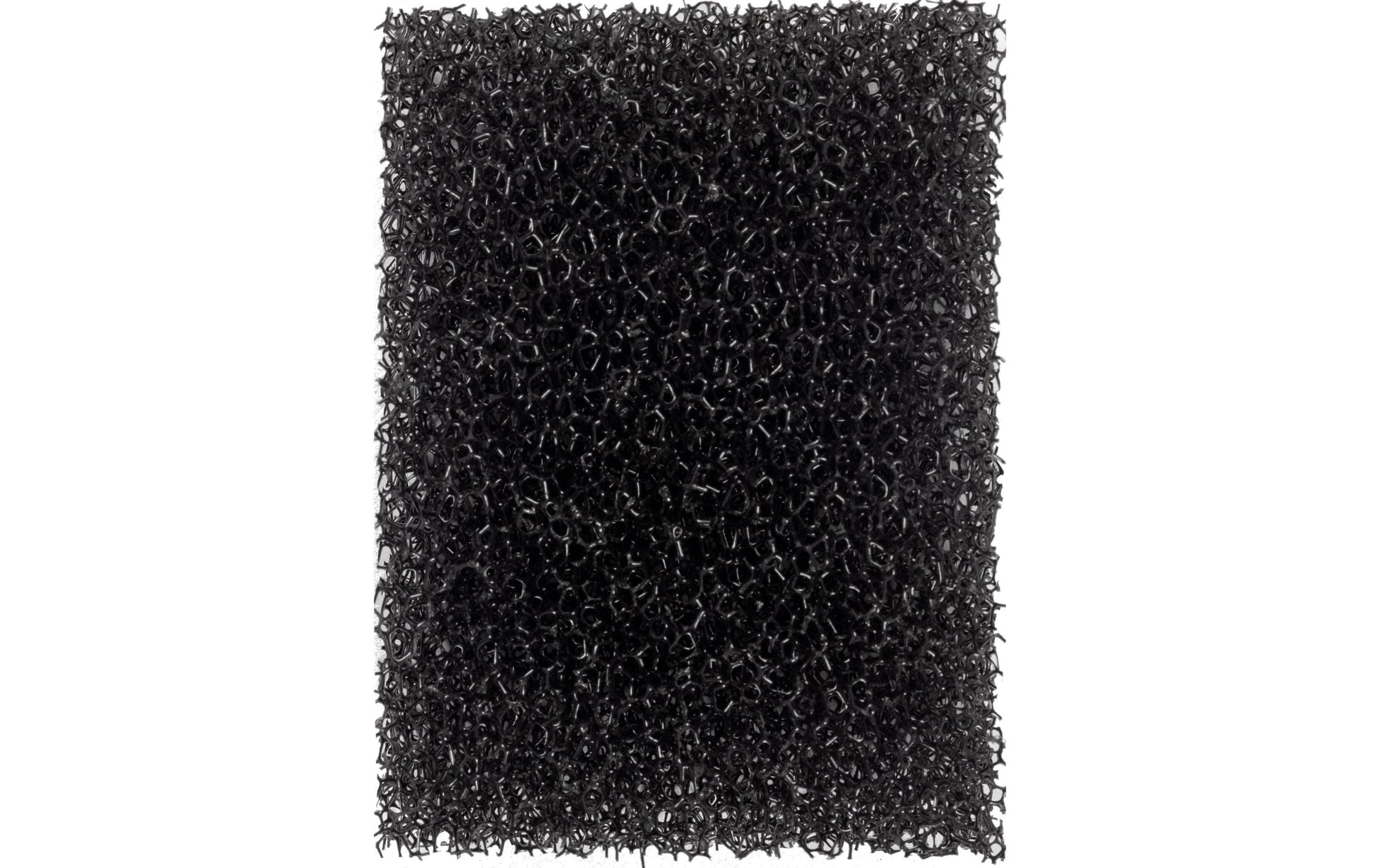 Eulenspiegel Schminkschwamm – 1 Stk – schwarz