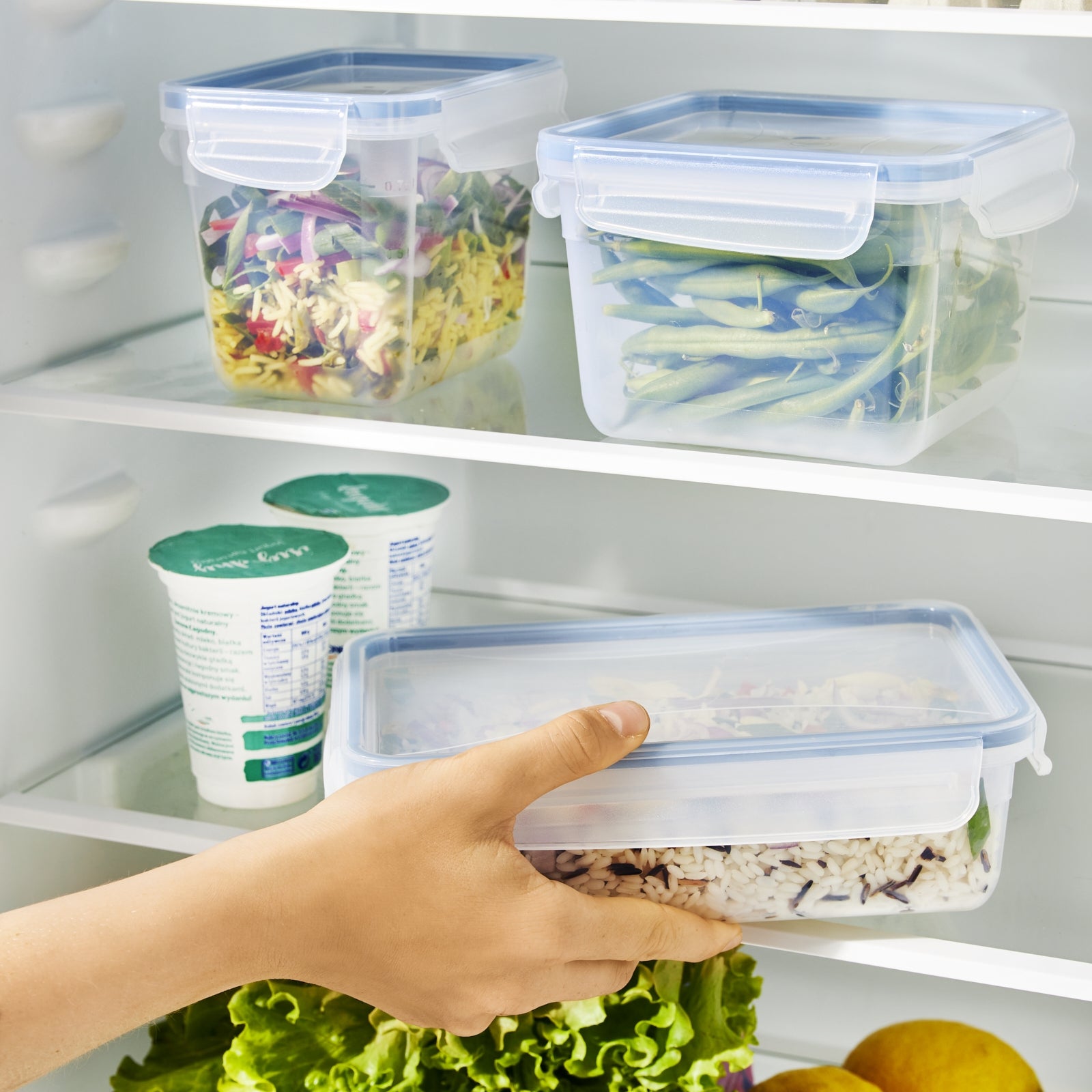 Rotho Kühlschrankdose Clic & Lock – 2 l – rechteckig – 23,9 × 9,2 × 16 cm – PP – transparent