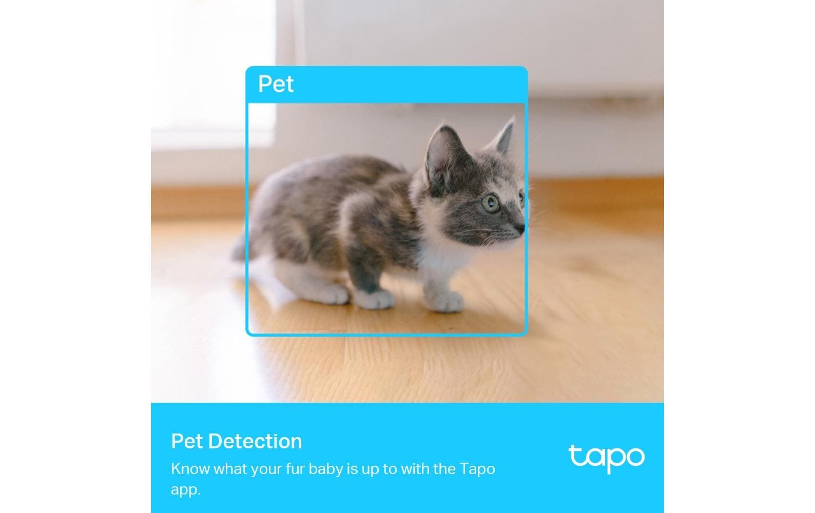 TP-Link Tapo C225 Überwachungskamera – 2K QHD (4 MP), Nachtsicht 9 m, microSD bis 512 GB