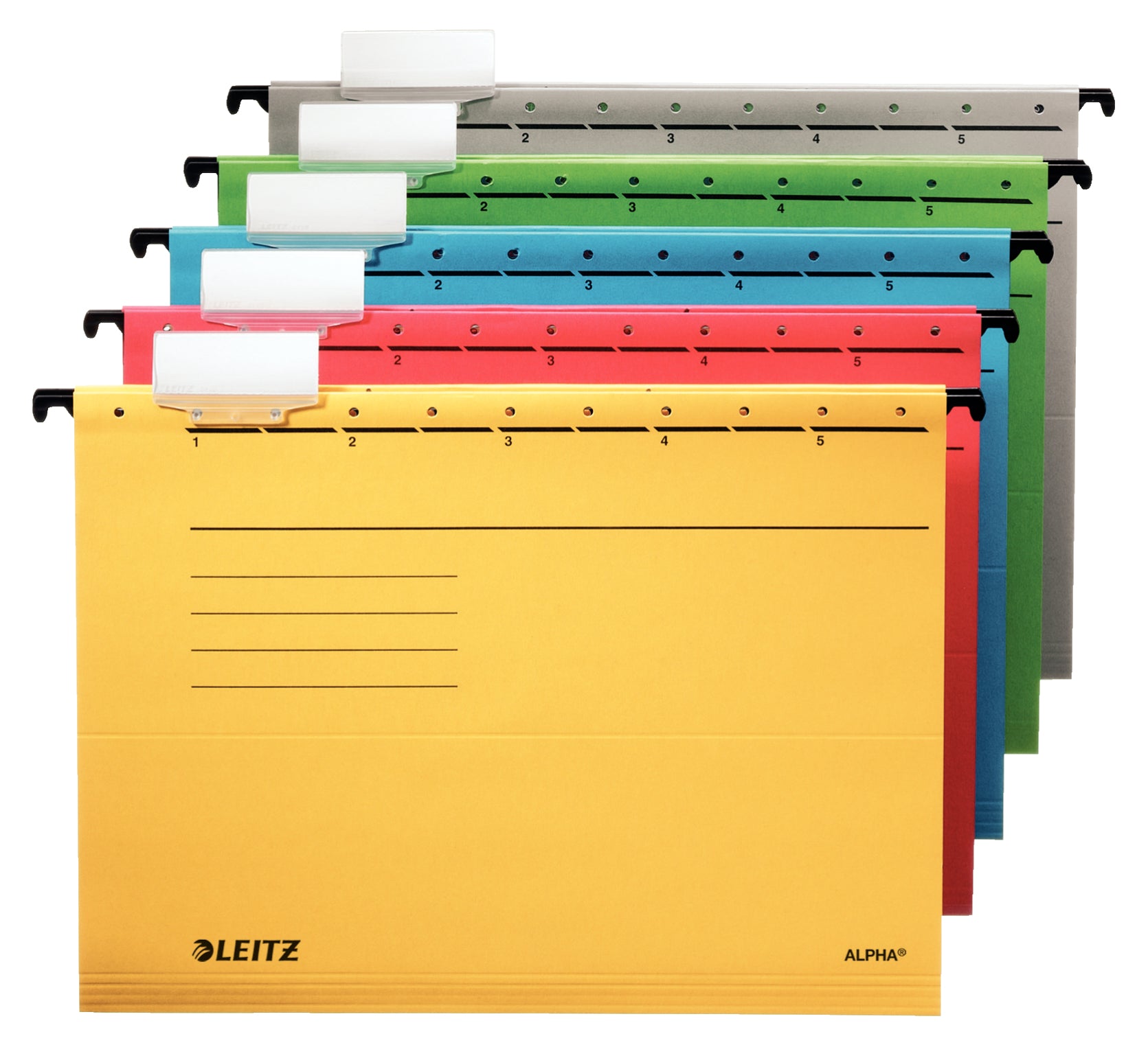Leitz Hängemappe Alpha – für A4, Grün, Karton, inkl. Reiter, seitlich offen