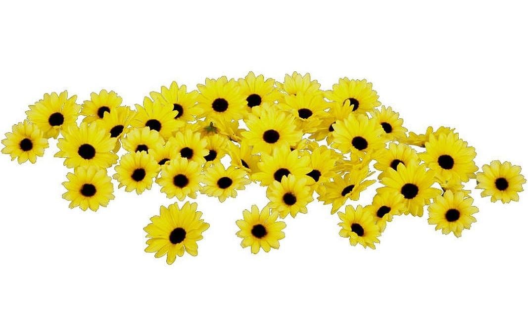 Dekomat ag Schnittblumen und Zweige – Ø 5,5 cm – Kunststoff & Polyester, Schwarz, 48-teilig