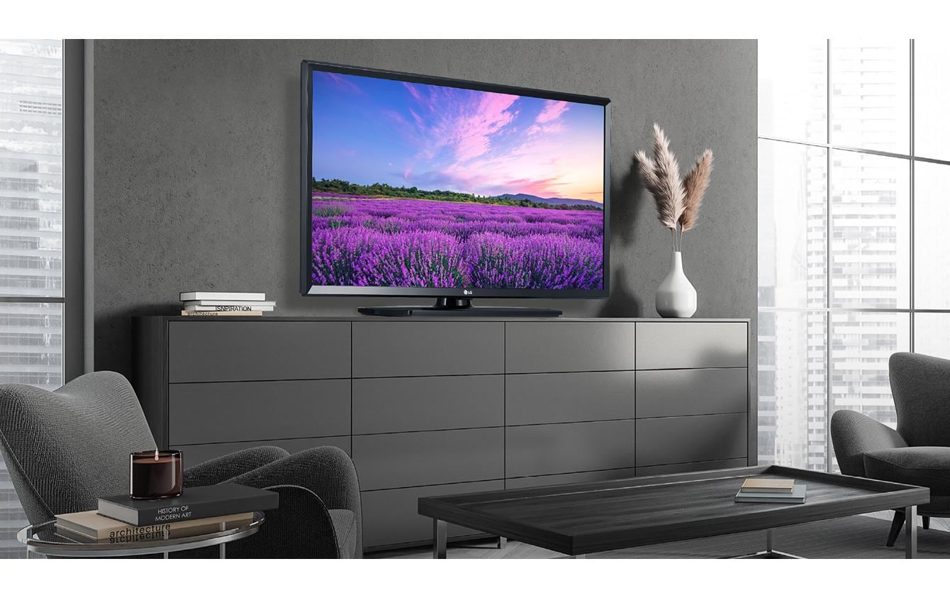LG 24LN661H – 24" Hotel-TV LED HD, webOS
