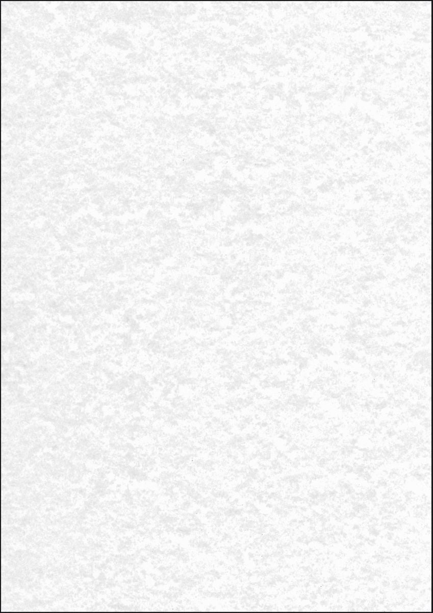 Sigel Kopierpapier – A4, 90 g/m², Grau – für Inkjet – 100 Blatt