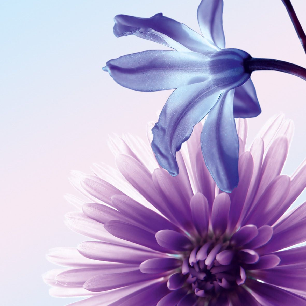 Sigel Designpapier Blue Emotion – A4, 90 g/m², 50 Blatt