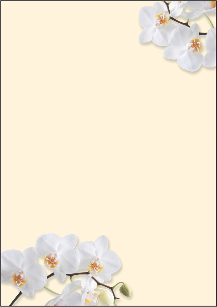 Sigel Designpapier White Orchid – A4, 90 g/m², 50 Blatt
