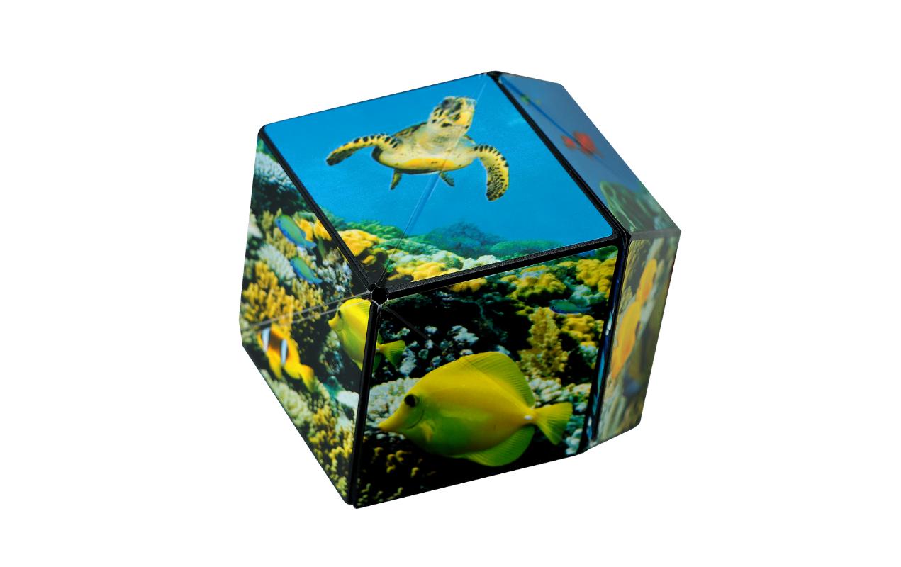 Shashibo Magnetpuzzle Würfel Undersea – ab 8 Jahren