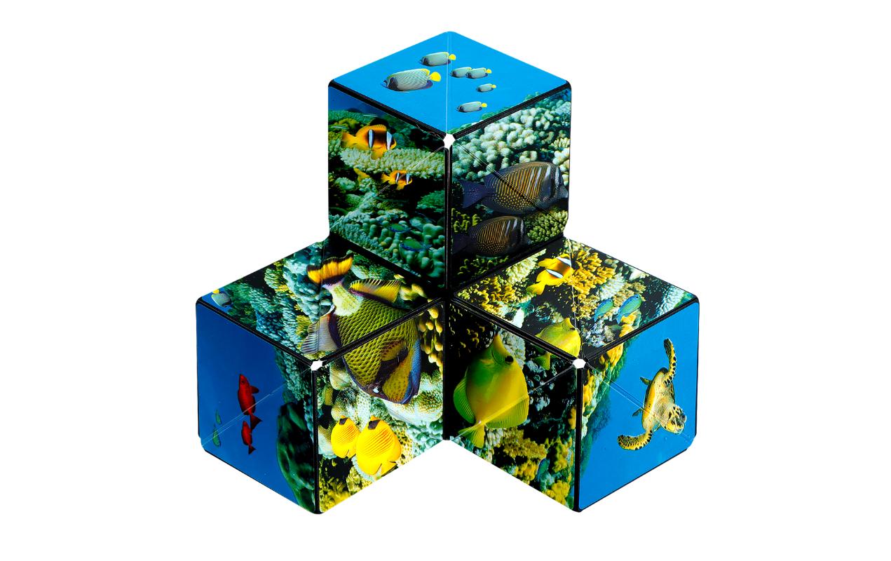 Shashibo Magnetpuzzle Würfel Undersea – ab 8 Jahren