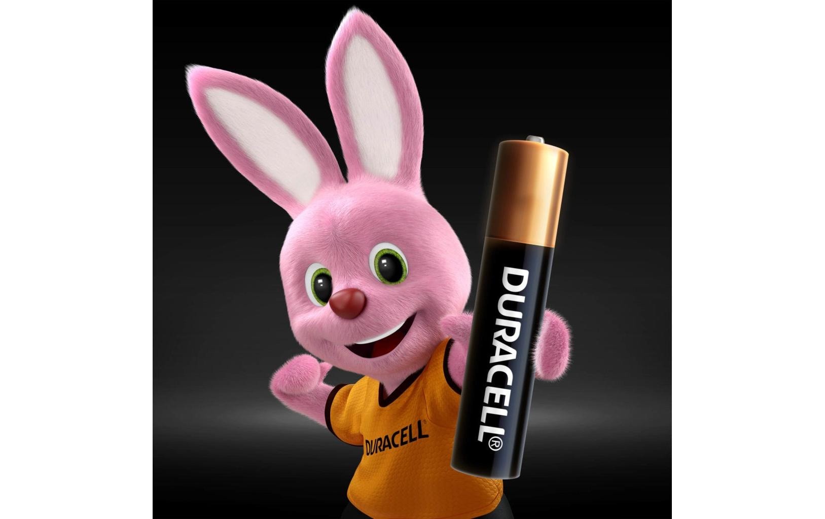 Duracell AAAA Batterien, Alkaline, 1,5 V – 2 Stk.