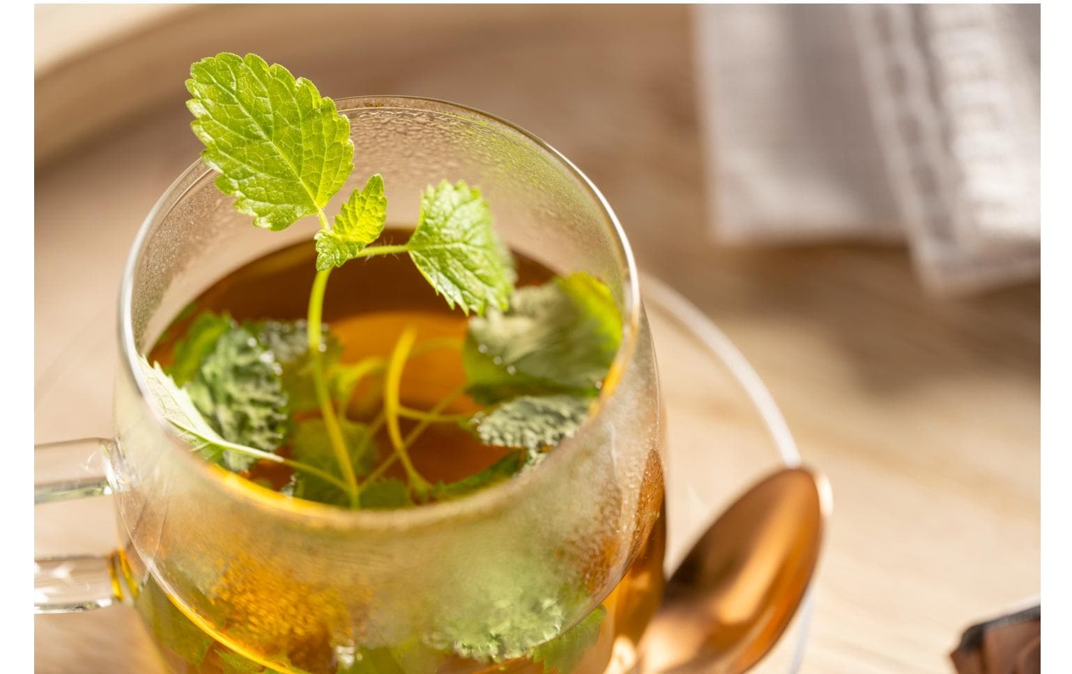 LEONARDO Teetasse – 0,57 l, Glas, transparent, Henkel, spülmaschinenfest, mikrowellenfest, 4 Stück