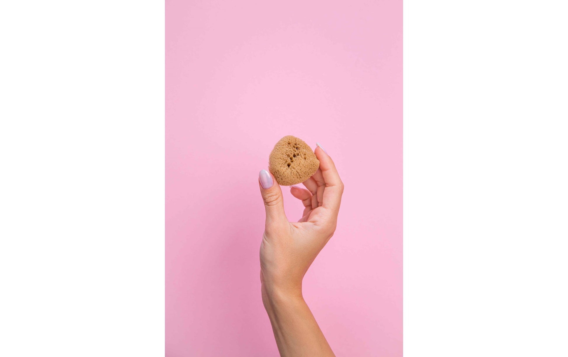 Hera organics Menstruationsschwamm – Grösse M – 3 Stk – Naturschwamm