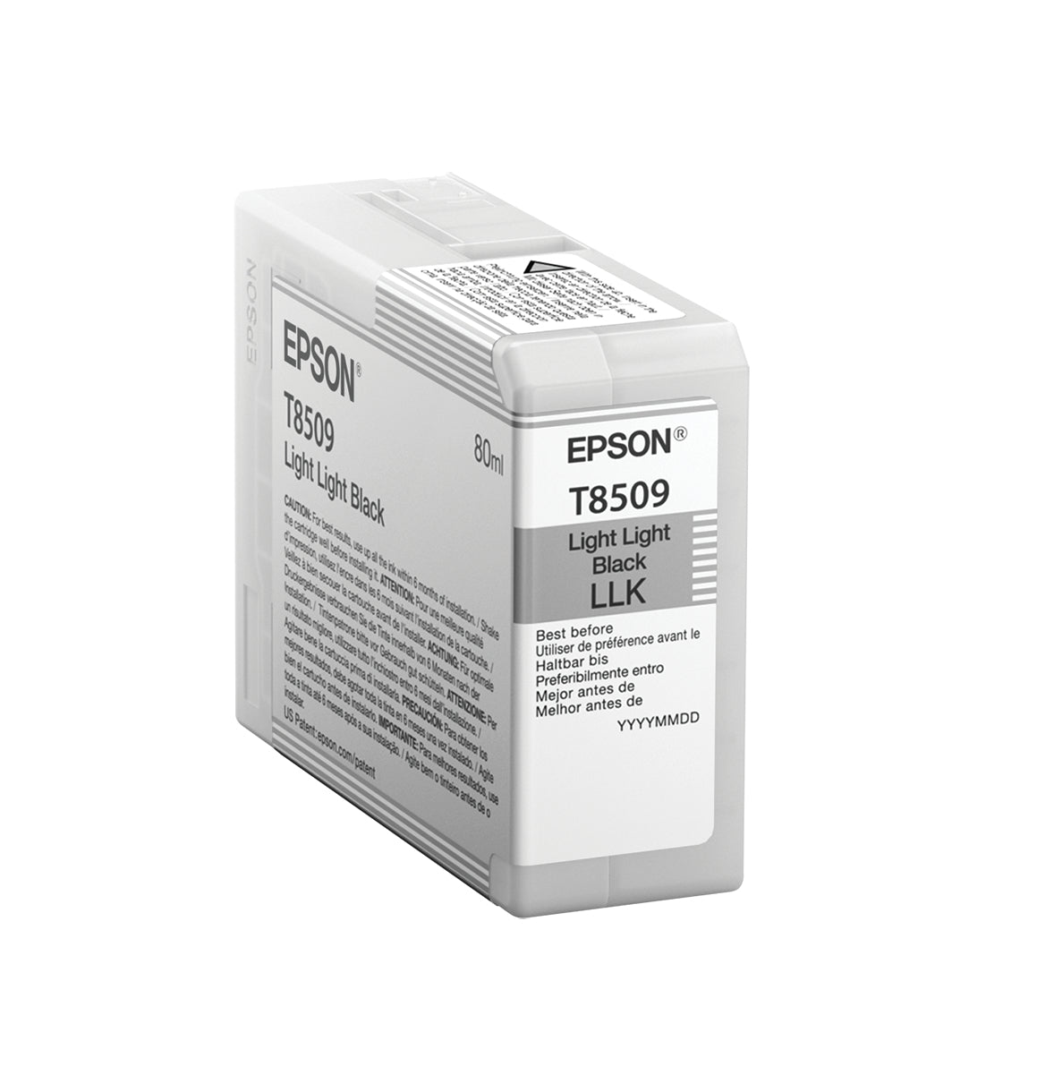 Epson Tintenpatrone T850 (T850900), Hell Schwarz, 80 ml, Original – für SureColor SC-P800