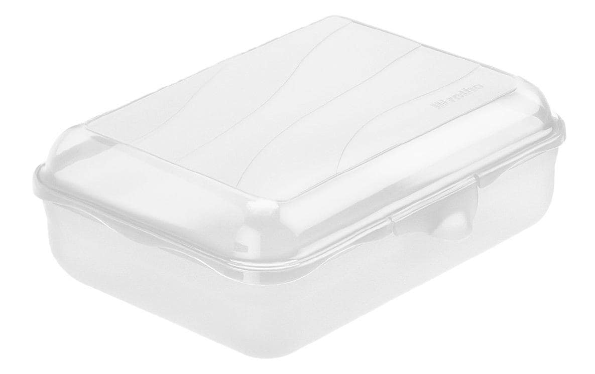 Rotho Lunchbox 1,25 l, 19,5 × 14,5 × 6,5 cm, Polypropylen (PP), transparent, BPA-frei