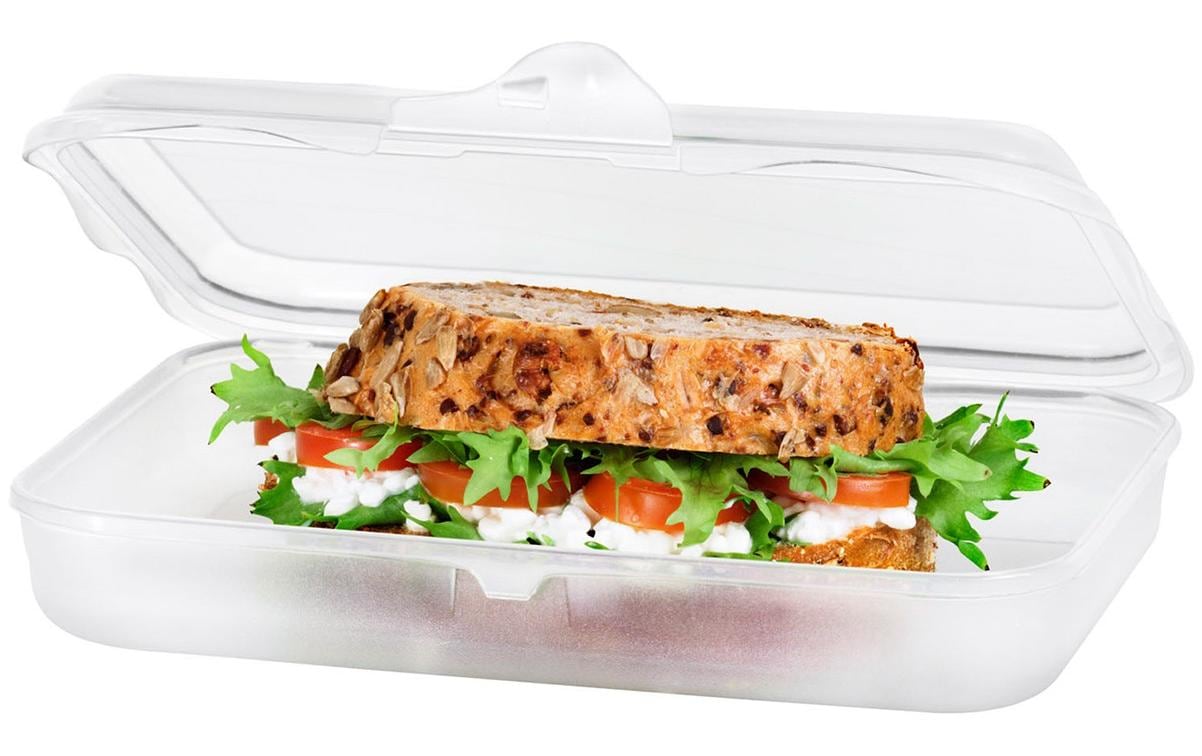 Rotho Lunchbox 750 ml, 19,5 × 14,5 × 4 cm, Polypropylen (PP), transparent