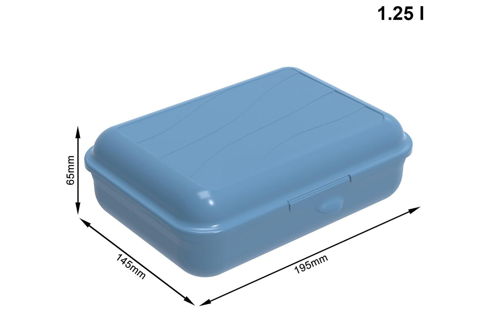 Rotho Lunchbox 1,3 l, 19,5 × 14,5 × 6,5 cm, Polypropylen (PP), blau