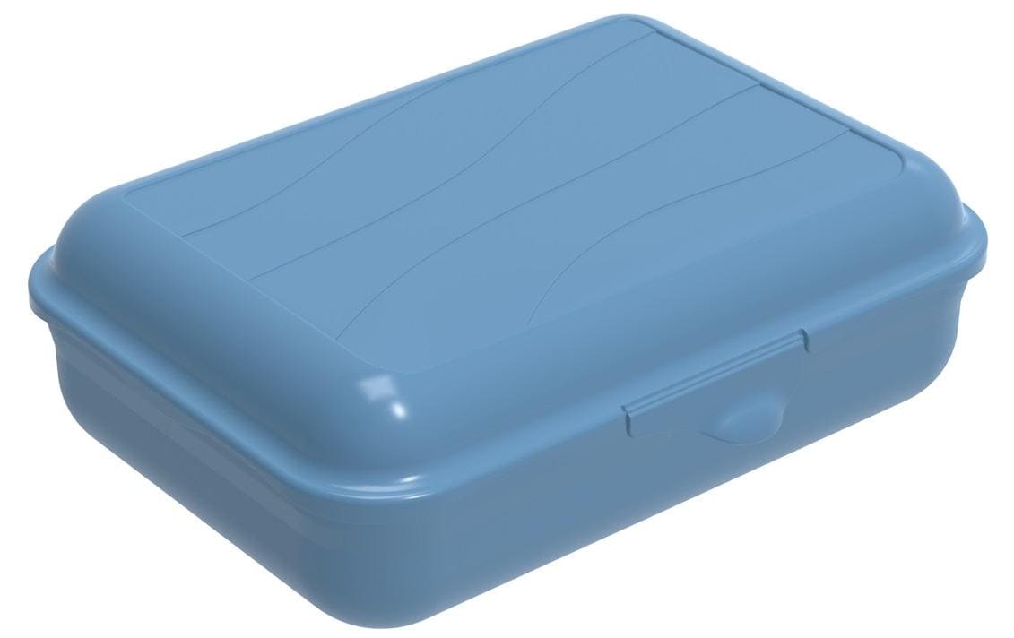 Rotho Lunchbox 1,3 l, 19,5 × 14,5 × 6,5 cm, Polypropylen (PP), blau