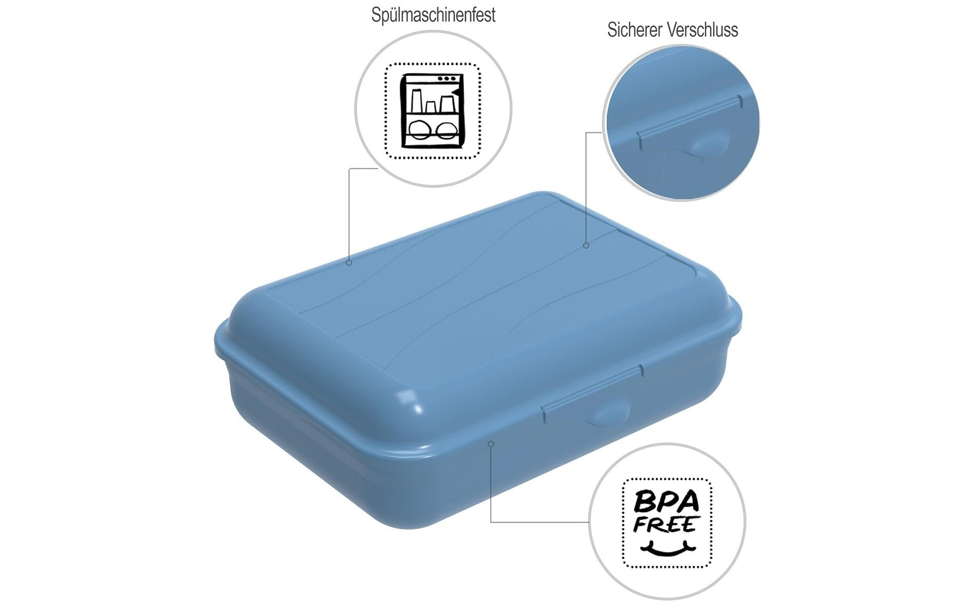 Rotho Lunchbox 1,3 l, 19,5 × 14,5 × 6,5 cm, Polypropylen (PP), blau