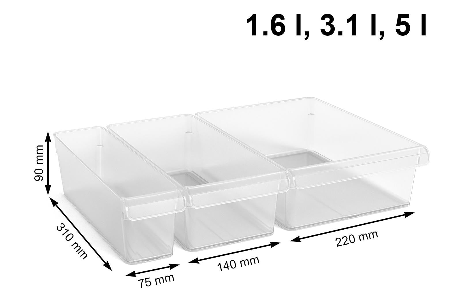 Rotho LOFT – Vorratsdose 9,7 l, 22 × 31 × 12 cm, Polypropylen (PP), transparent
