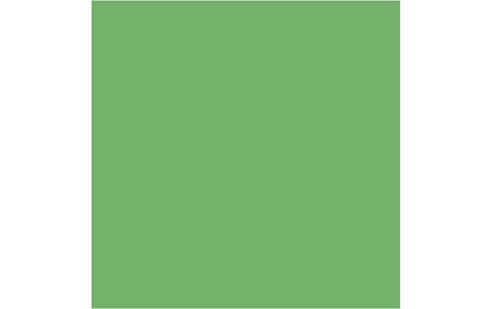 Creativ Company Stoff – grün – 145 cm × 10 m – Baumwolle