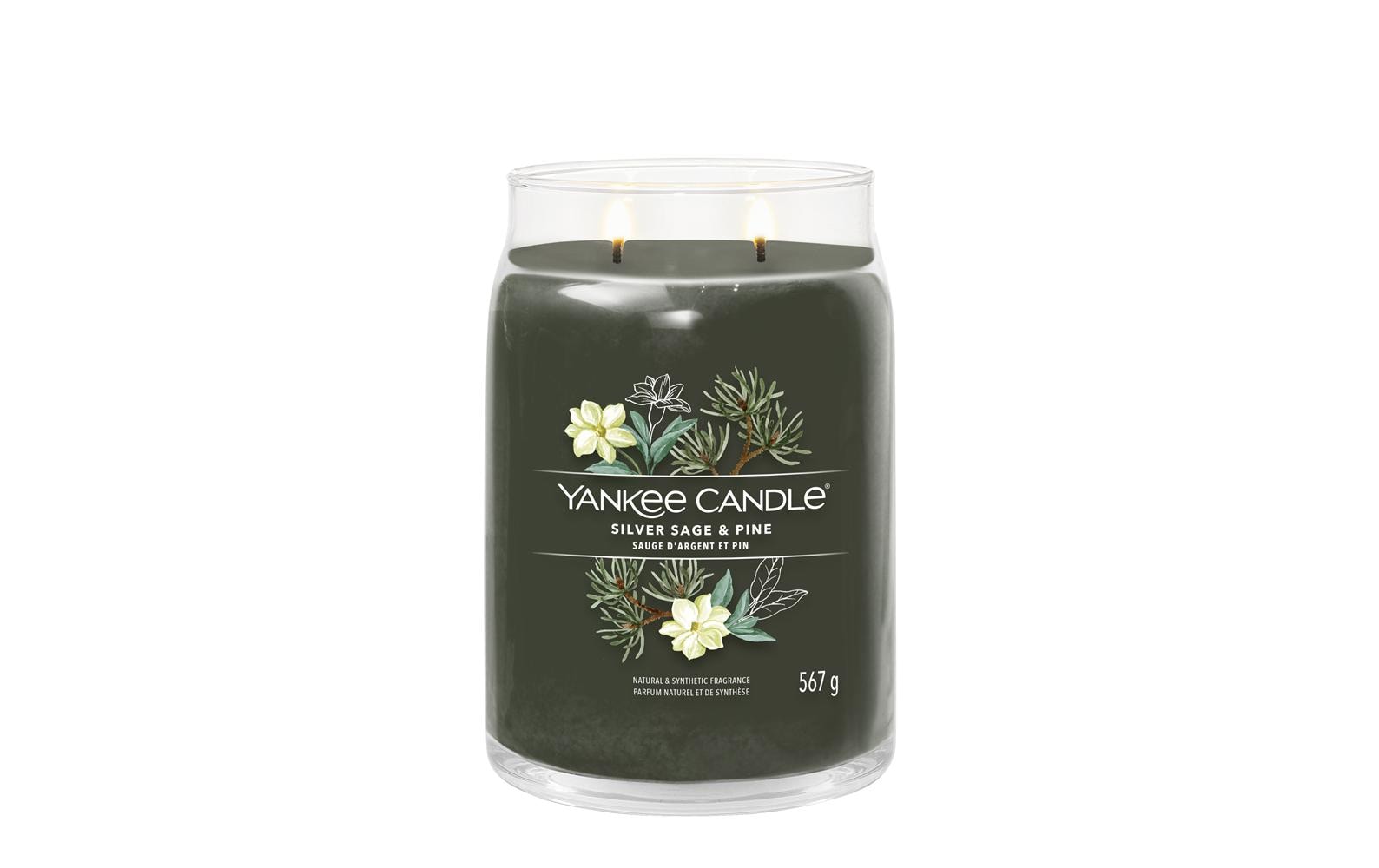 Yankee Candle Duftkerze Silver Sage & Pine, grün, Glas, Ø 9,4 × 15,7 cm, 1 Stück