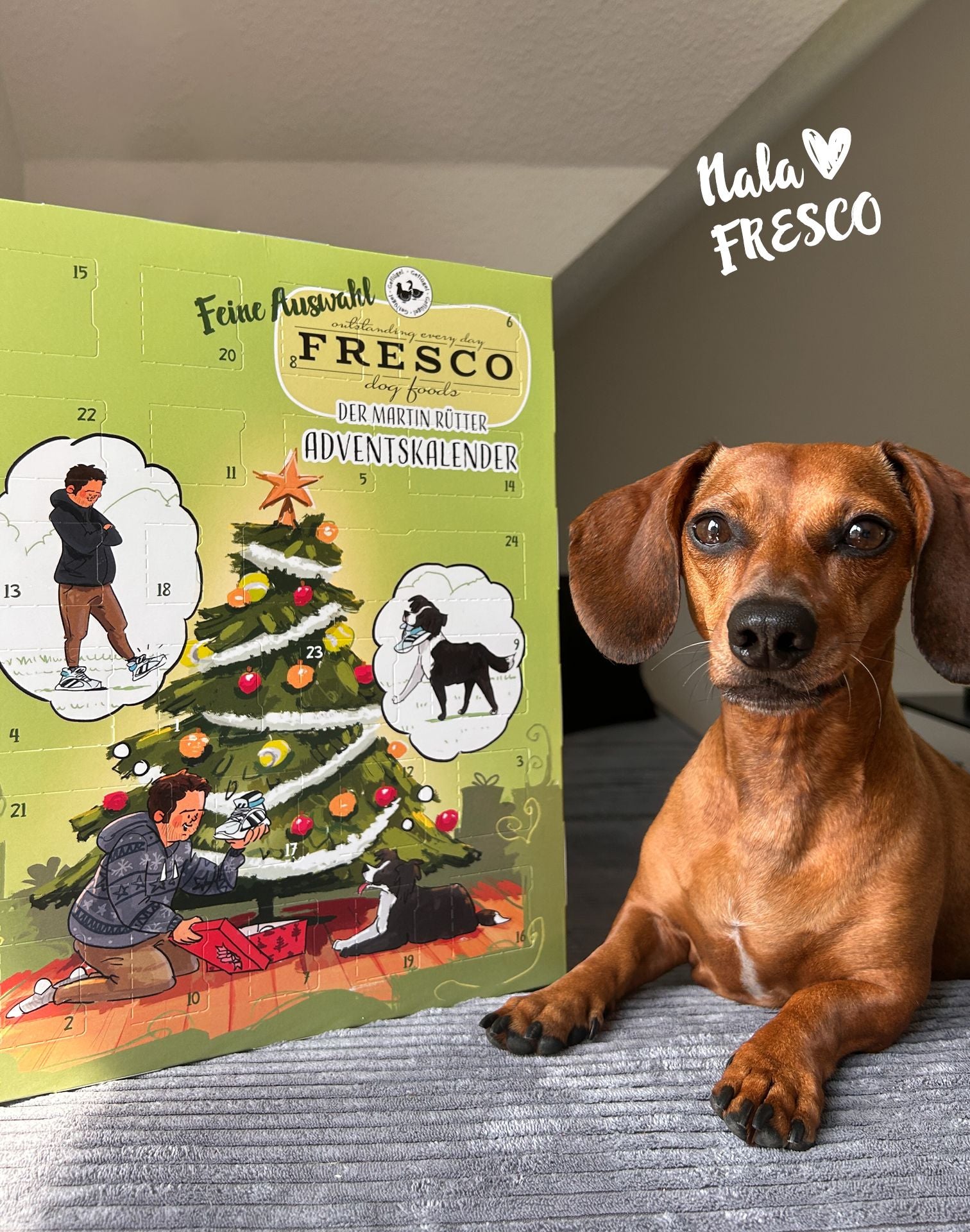 Fresco Adventskalender Feine Auswahl – Huhn & Ente – 180 g